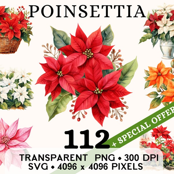 Poinsettia Clipart, Cute Christmas Flower Watercolor Clip Art, Floral Sticker Mug and Shirt Design, Digital Download, Printable PNG & SVG