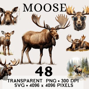 May include: A collection of watercolor illustrations of moose in various poses. The image includes a large moose with large antlers, a baby moose, and other moose illustrations. The word "MOOSE" is at the top, and the number "48" is in the center.