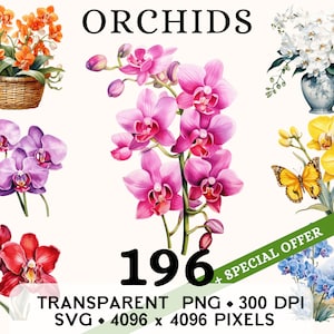 Clipart de orquídea, clipart de flor de primavera de casamento fofo em aquarela, design de caneca e camisa com adesivo floral, download digital, para impressão PNG e SVG