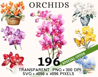Clipart orchidee, schattige bruiloft lentebloem aquarel illustraties, bloemen sticker mok en shirt ontwerp, digitale download, afdrukbare png en SVG