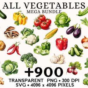 Bundle légumes Clipart, aquarelle de légumes, légumes et fruits, autocollant de nourriture de la ferme, tasse et chemise, numérique, téléchargement PNG SVG imprimable