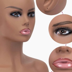 Realistic Mannequin Head