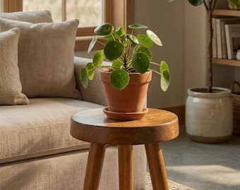 Handmade Wooden Plant Stand | Kids Stool | Solid Wood | CANOGLOO