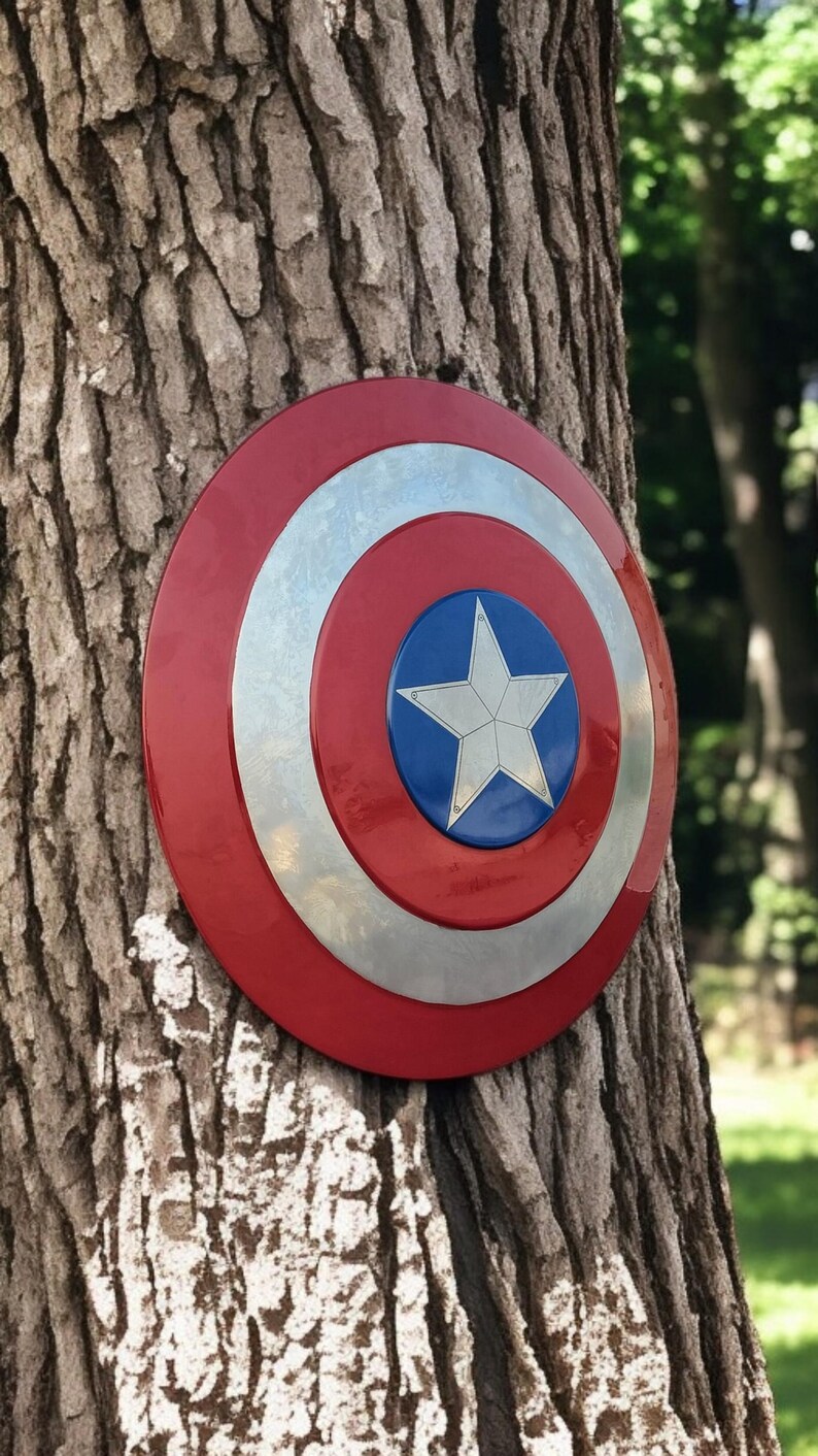 May include: A red, white, and blue shield with a silver star in the center, mounted on a tree trunk. The shield has a circular design with concentric rings of red, silver, and blue.