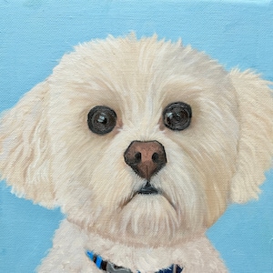 Bichon Frise Oil Painting Print | Original Fine Artwork | Bichon Painting | Dog Painting | Dog Poster | Bichon Frise Art