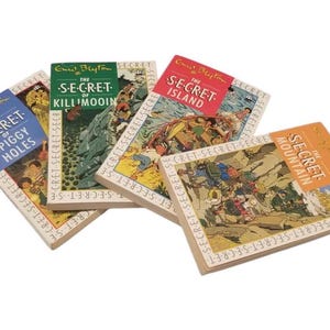 Enid Blyton Secret Series Bücher