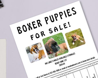 Puppies for Sale Flyer/ Poster; Puppies for sale poster, editable and customize with your information in Canva: puppies advertisement