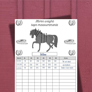 Tabel met gewichtstape paarden: gewichtsfiche paard/pony, 12 maanden om veranderingen in gewicht van het paard op te geven en bij te houden, paardenplanner, paardensportgegevens