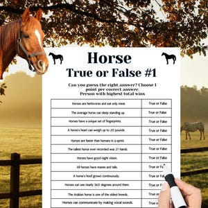 Juego de preguntas sobre caballos: Cuestionario de verdadero o falso sobre caballos, Juego de preguntas sobre caballos, Preguntas sobre caballos imprimibles para fiestas, Juego de fiesta Derby, Actividad para fiestas de ponis
