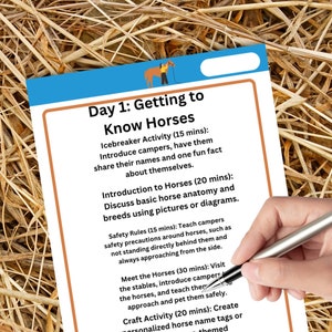 Horse Camp packet. Horse camp Lesson Plan:Pre  written lessons, designed for beginners and younger campers, camp daily lessons for horseback