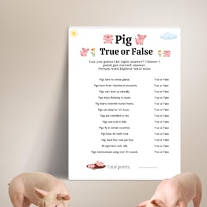 May include: A pink pig true or false game with 12 questions about pigs. The questions are printed on a white background with a pink pig illustration at the top. The game is designed for two players and includes a total points section at the bottom.