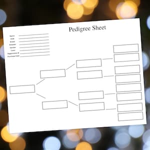 May include: A white "Pedigree Sheet" with a family tree diagram. The sheet includes fields for name, DOB, breed, breeder, gender, colour, registration number, and purchase date. The background is a blurred bokeh of yellow and blue lights.