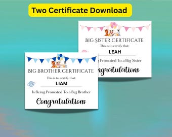 Sibling Awards Certificates, Printable Big Brother & Big Sister Certificate,Sibling Award for New Baby Announcement or Gender Reveal