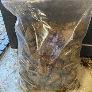 May include: A clear plastic bag filled with a large quantity of dark brown horse manure pellets.