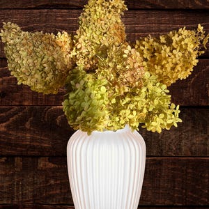 May include: A white, ribbed vase holds a bouquet of dried hydrangeas. The flowers are a mix of yellow and green, with some hints of brown. The vase is set against a dark brown, wooden background.