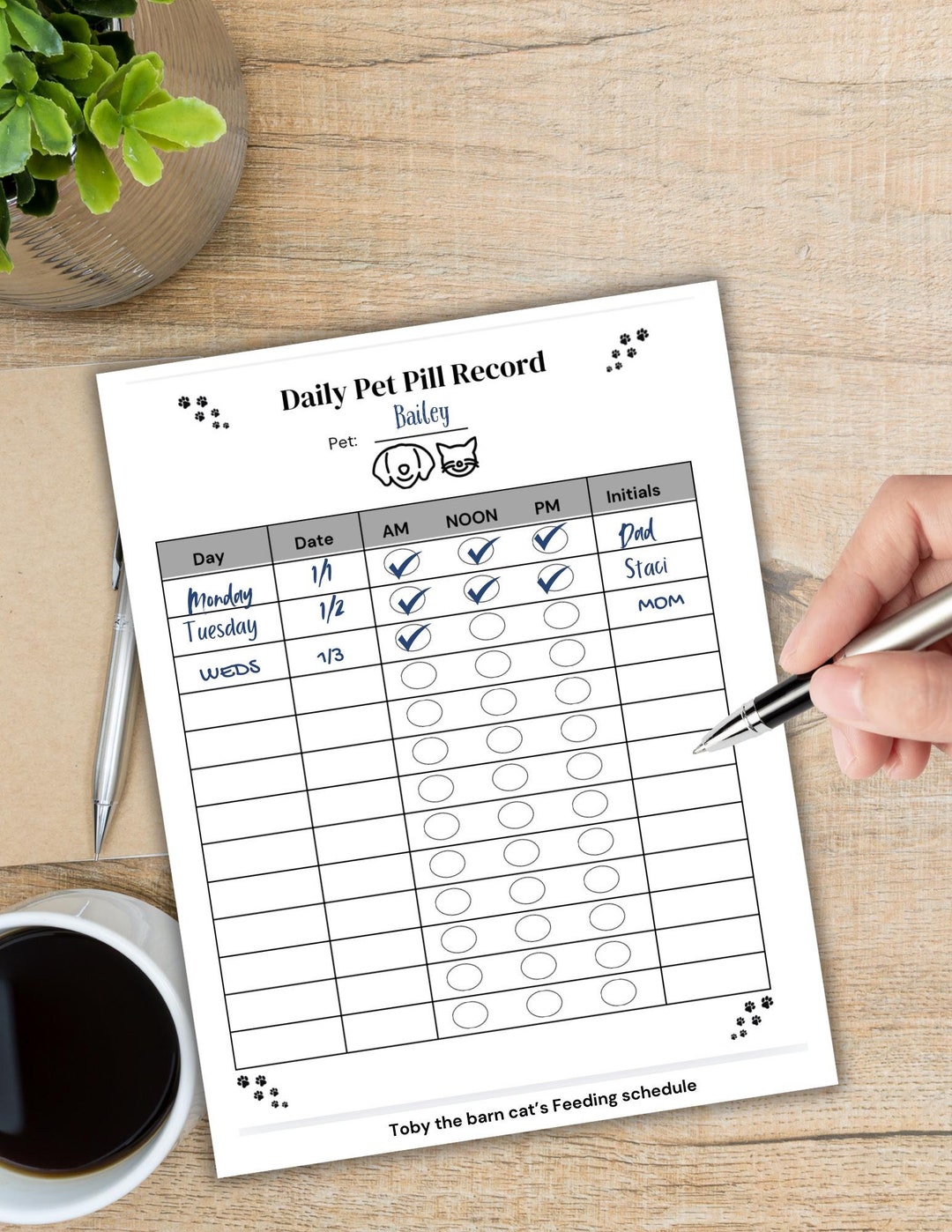 Pet Pill Record Chart, Medication Pill Tracker, Pill Log, Daily Pill