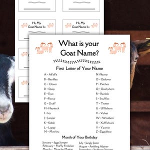 May include: A sheet of paper with the text "What is your Goat Name?" and a list of names based on the first letter of your name and birth month. Also includes small cards that say "Hi, My Goat Name Is:"