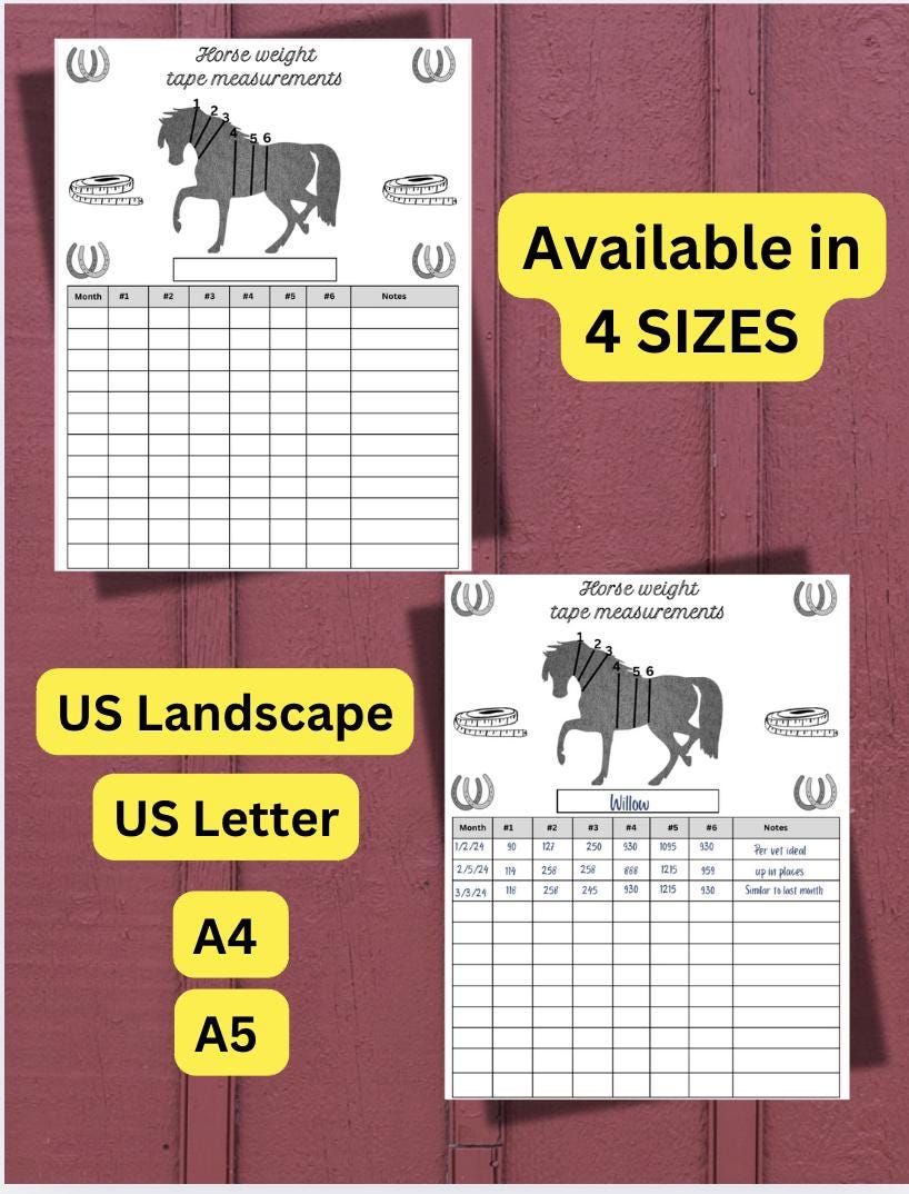 Pavo Nastro Di Misura Cartone | Pavo - Foto 4