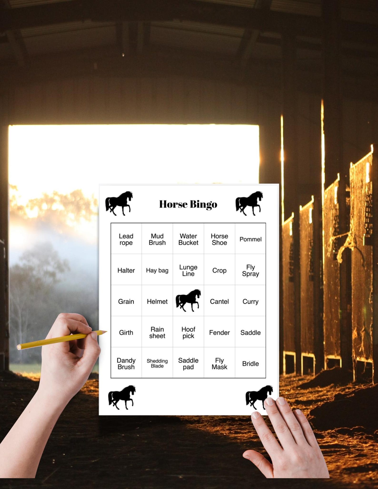 Pony Bingo Game Horse Birthday Party Activity (printable PDF), Horse ...