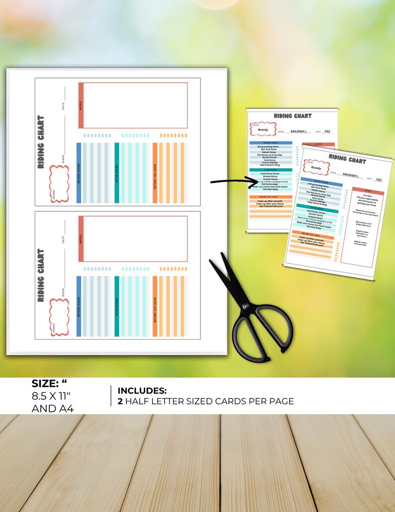 Horseback Riding Checklist Chart: Beginner Rider Responsibility, Lesson ...