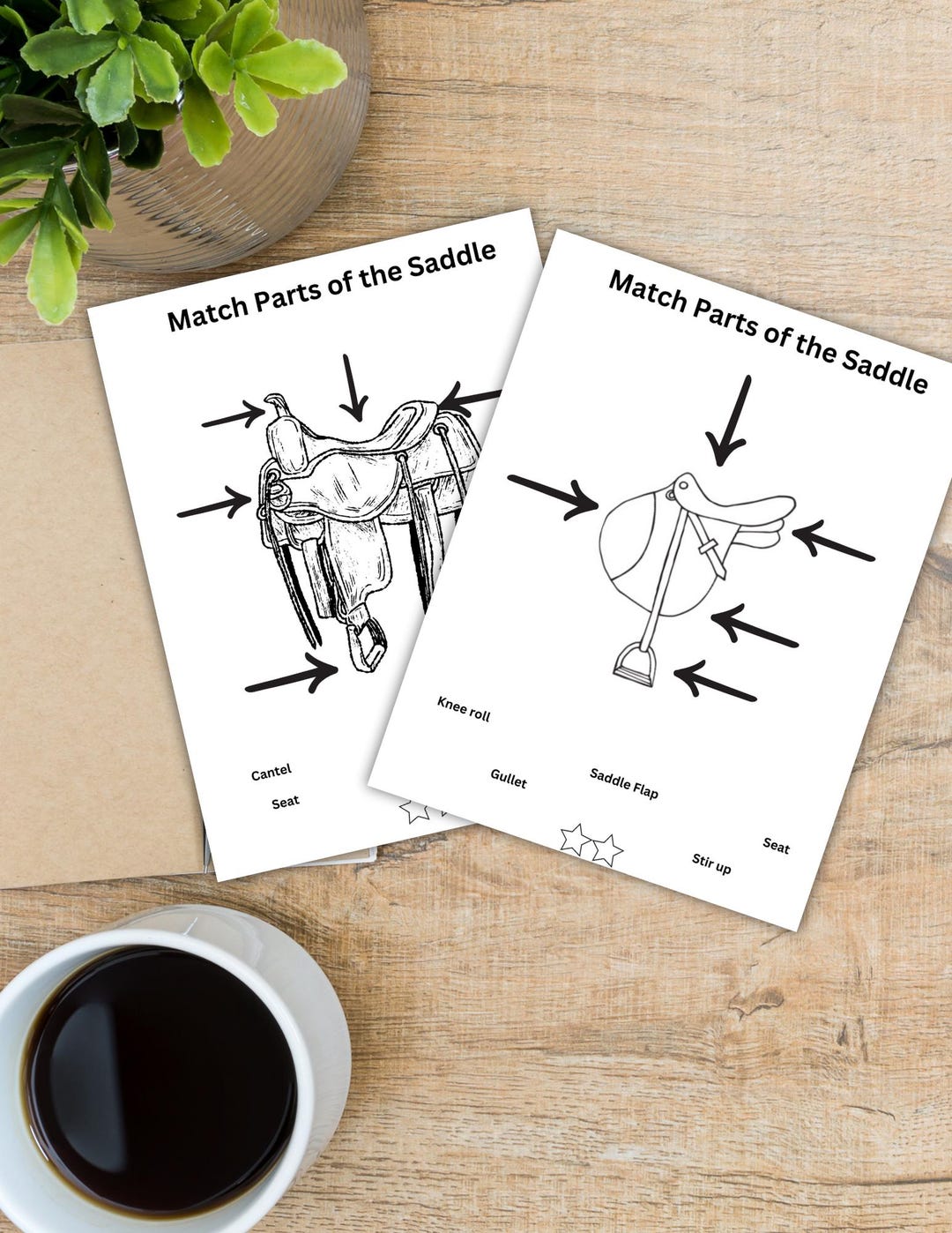 Horse Tack Worksheets With Answer Key, Saddle & Bridle Identification ...