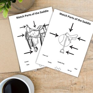 Horse Tack Identification Worksheets: Equestrian Education, Horse Camp Game (PDF Download)