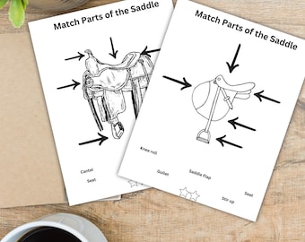 May include: Two white sheets with the text "Match Parts of the Saddle" and saddle diagrams with labels. The papers are on a wooden surface, with a cup of coffee and a plant in the background. The illustrations are in black and white.