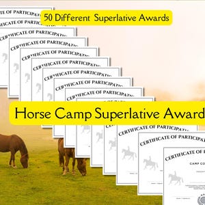 Horse Camp Superlative Awards,Printable Equestrian Certificates, horse camp awards certificates, Horse camp certificate, equestrian trophy