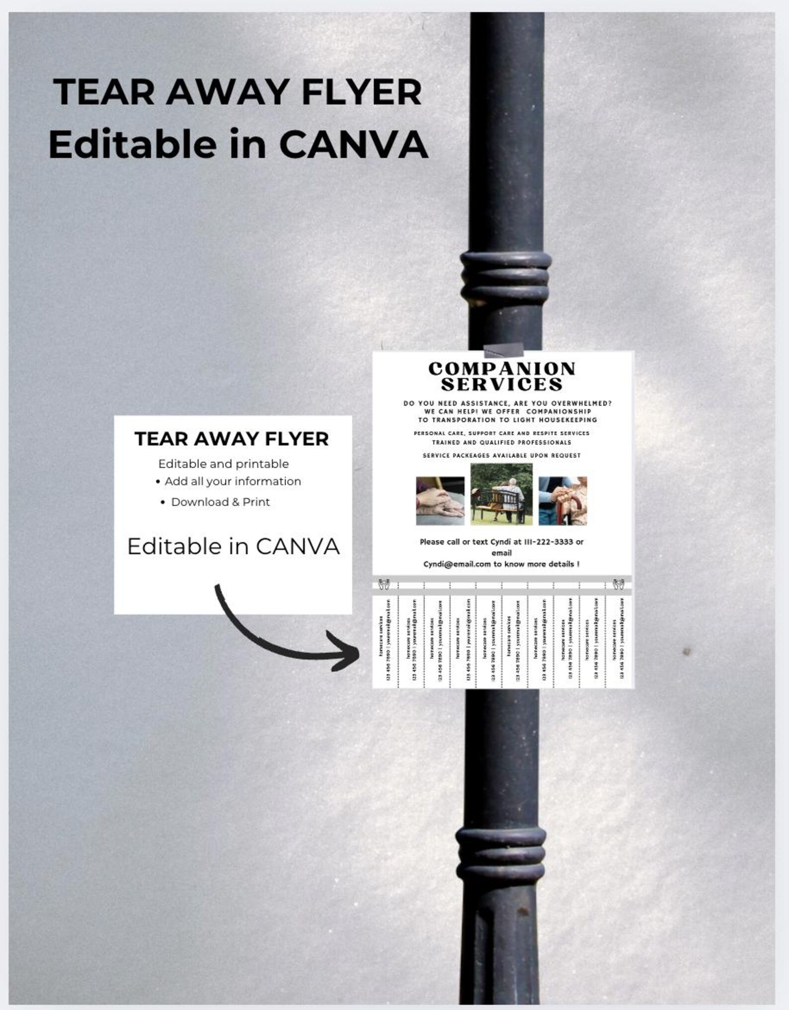 Editable Meat Raffle Template,meat Raffle Fundraiser Flyer,meat Raffle Ticket and Poster ...