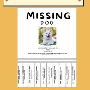 Missing Pet Tear-Off Poster: Lost Dog/Cat Flyer (PDF Download)