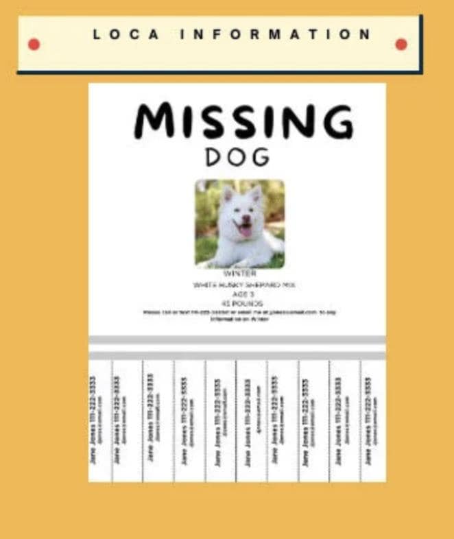 Missing Pet Tear-Off Poster: Lost Dog/Cat Flyer (PDF Download)