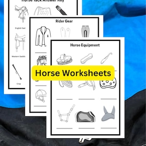 Horse Education Worksheets: Equestrian Learning, Horse Camp Activity (PDF Download)