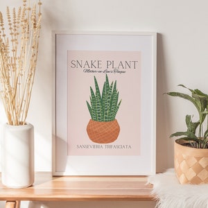 Kamerplant kunst aan de muur Boho botanische print plant minnaar cadeau kamerplant minnaar poster nieuwe huis cadeau galerij kunst muur digitale DOWNLOAD