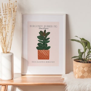 Kamerplant kunst aan de muur Boho botanische print plant minnaar cadeau kamerplant minnaar poster nieuwe huis cadeau galerij kunst muur digitale DOWNLOAD