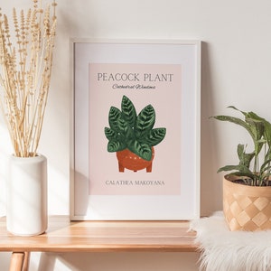 Kamerplant kunst aan de muur Boho botanische print plant minnaar cadeau kamerplant minnaar poster nieuwe huis cadeau galerij kunst muur digitale DOWNLOAD