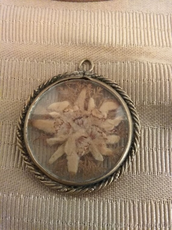 Pressed dried flowers pendent - image 2