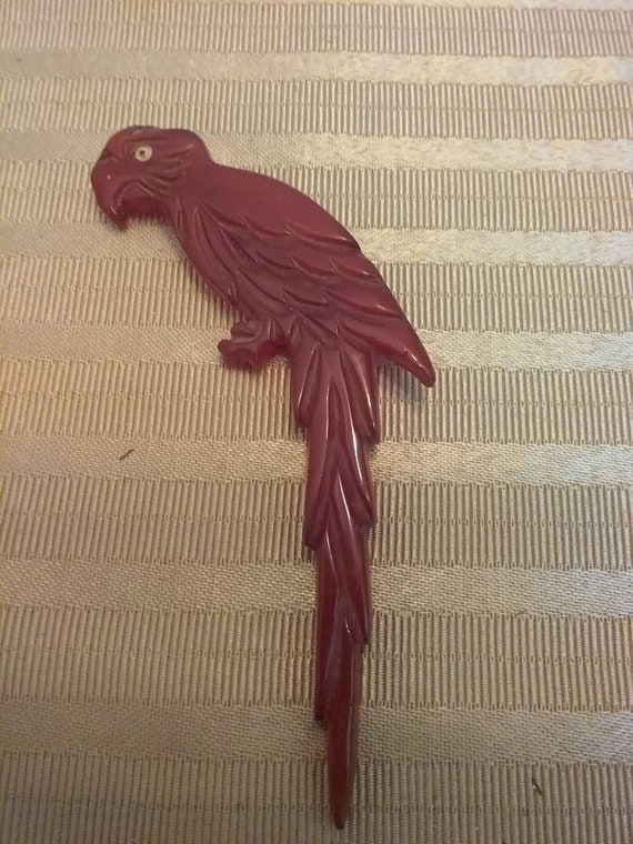 Parrot resin pin with glass eye