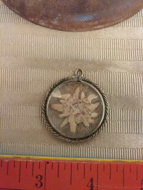 Pressed dried flowers pendent - image 3