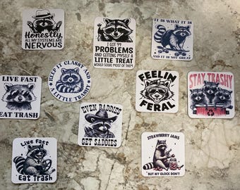 Funny Racoon Stickers- gift for her or him