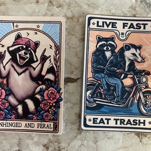 Puede incluir: Dos pegatinas rectangulares con dise&ntilde;os de mapaches y zarig&uuml;eyas de dibujos animados. Una presenta un mapache con un pa&ntilde;uelo rosa, el texto "UNHINGED AND FERAL" y rosas. La otra muestra un mapache y una zarig&uuml;eya en una motocicleta con el texto "LIVE FAST EAT TRASH".