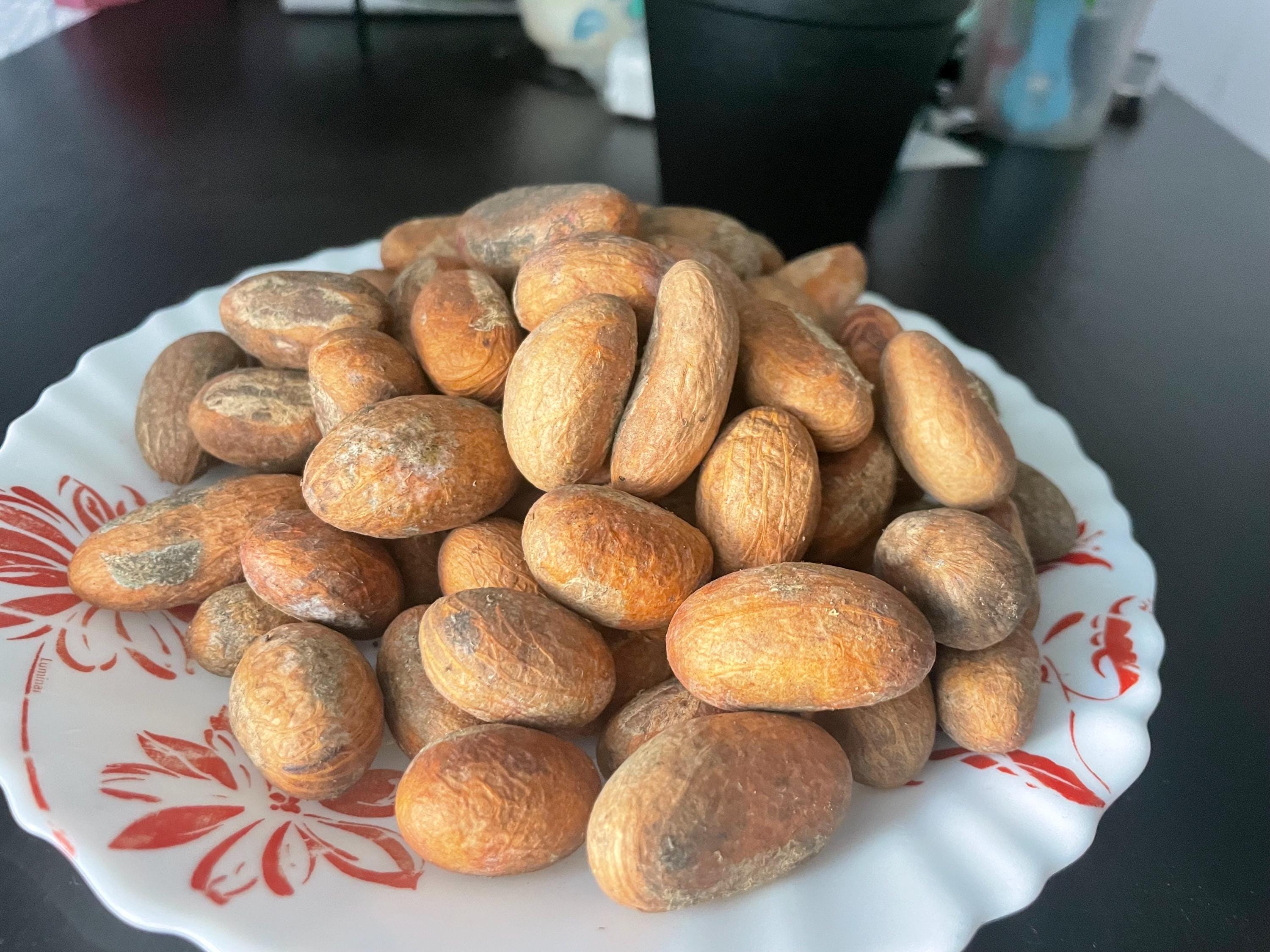 Noix De Petit Cola Fraîche - 20 Pièces, Stimulant Naturel, Digestif, Pour Libido Et Endurance