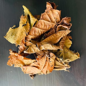 Feuilles de djeka 50 grammes