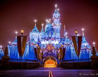 Sleeping Beauty's Castle Disney 100 Decor - Etsy Canada