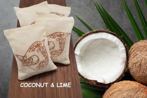 Coconut Lime Scented Sachets Set of 4 Air Freshener Party Favor