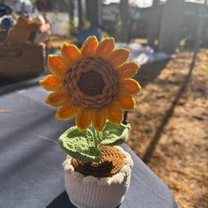 May include: A handcrafted crochet sunflower in a small pot. The sunflower has yellow petals and a brown center. The green leaves and stem rise from a white pot with a scalloped edge. The pot sits on a dark blue surface.