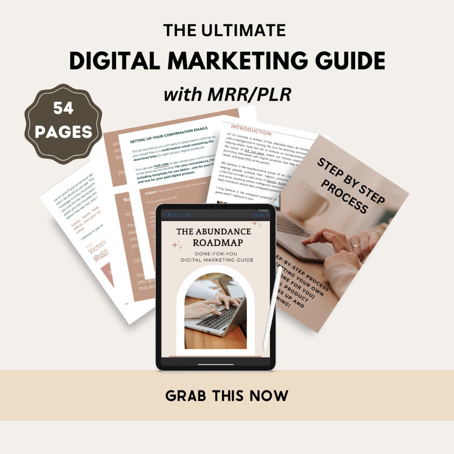 Done for You: Digital Marketing Guide, Viral PLR Ebook, PLR/MRR Ebook ...