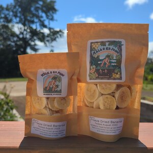 Freeze Dried Bananas from Maui