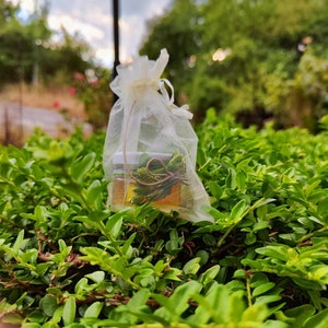 Puede incluir: Un pequeño frasco de vidrio lleno de un líquido amarillo y material vegetal verde está envuelto en una bolsa de tela blanca transparente. El frasco está sentado en un lecho de follaje verde.