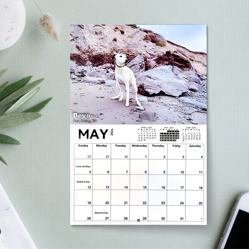 2024 Pooping Pooches Dog Calendar, White Elephant Gag Gift Exchange or