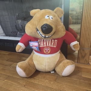 Harvard Bear - Etsy
